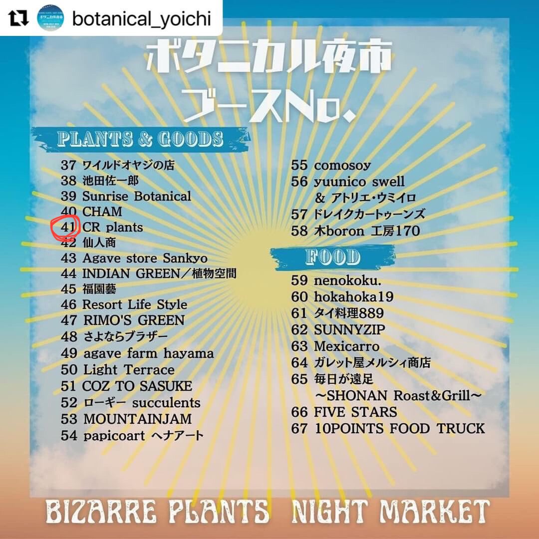 cr_plants's tweet photo. 今日はボタニカル夜市‼️

ピンでのイベント出展が初なのでお手柔らかにお願いします😭

41番にいますので寄れる方は是非🔥

#ボタニカル夜市 https://t.co/oWg7KluE8Z