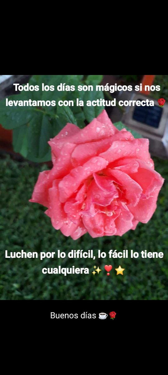 Lo fácil lo consigue cualquiera