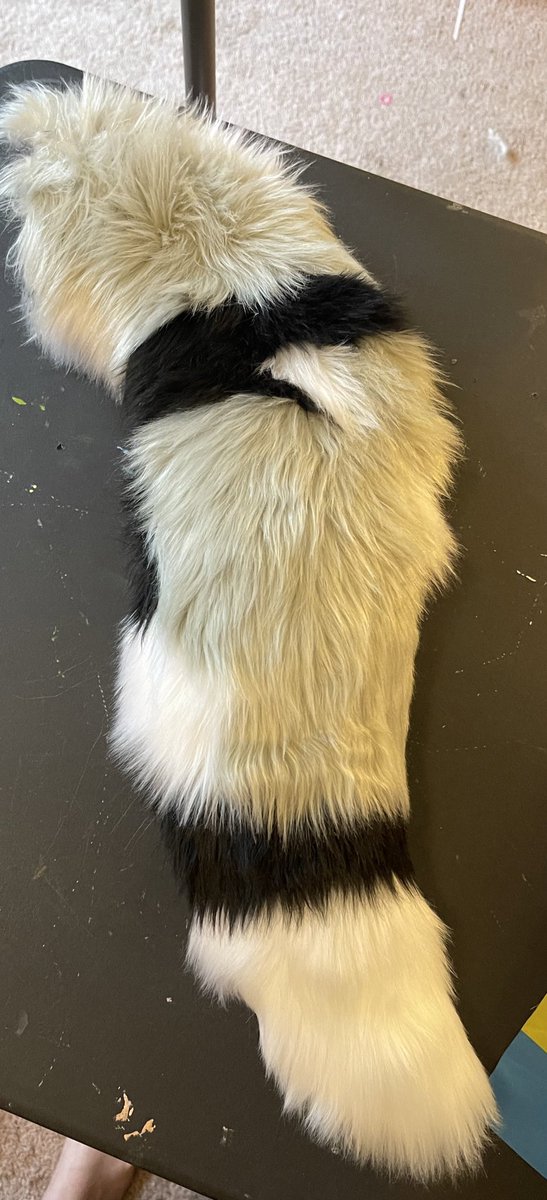 FurToDaye's tweet photo. Loving it here at AWU! Sold this lovely girl to @SandOnTheShore earlier.  Come check out what we have left in the dealers den! https://t.co/by9vAf0qYw