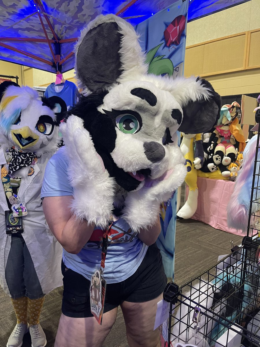 FurToDaye's tweet photo. Loving it here at AWU! Sold this lovely girl to @SandOnTheShore earlier.  Come check out what we have left in the dealers den! https://t.co/by9vAf0qYw