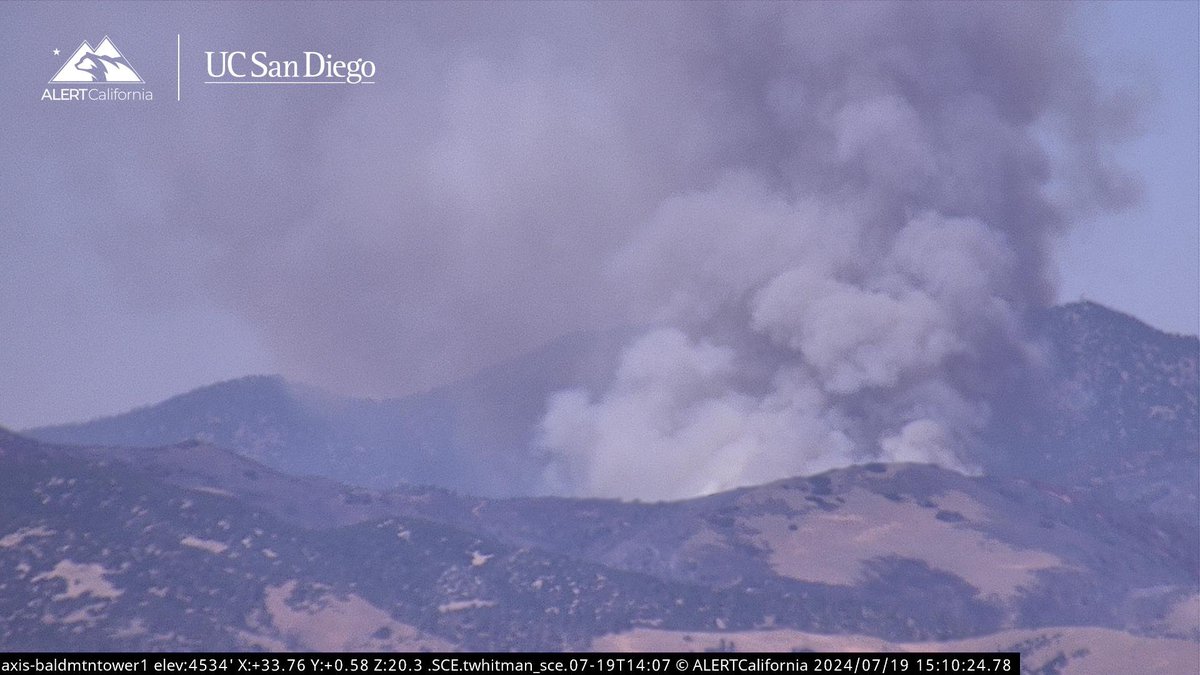 KernFiregraph's tweet image. Pretty massive burn operation on the #WhiteFire