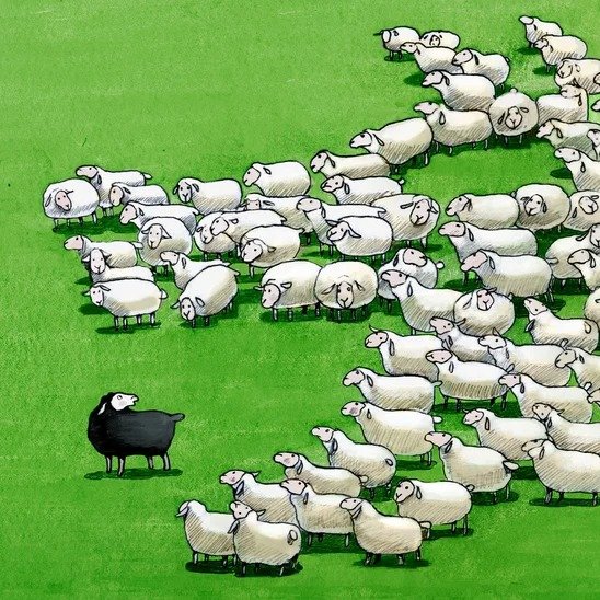Libertario 🟨⬛ tweet media