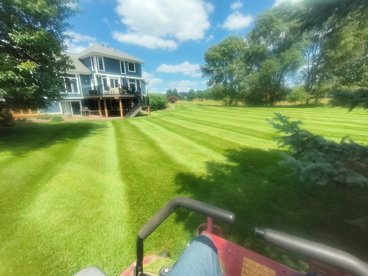 GroovyGroveNFTs's tweet photo. Damn it feels good to be a gangster...
#StripeLife #LawnCare https://t.co/8yj1vbvRd8