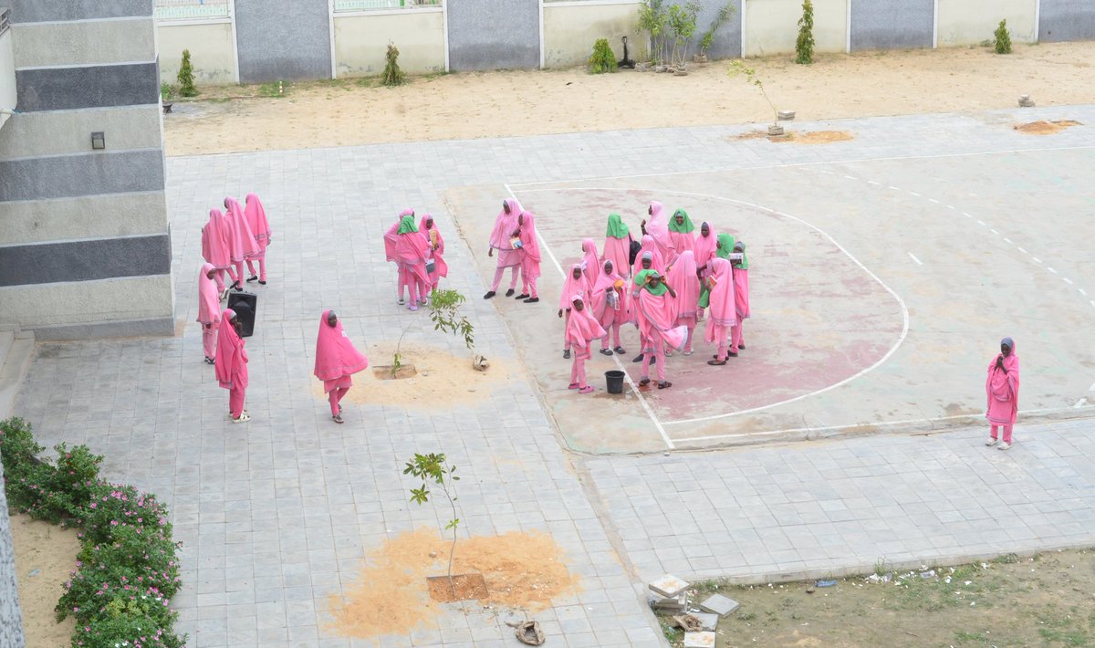 IBRAHIM BABAGANA (@ibrahim61685003) on Twitter photo Today, I had the privilege of participating in a tree planting event at Babagana Wakil Integrated High Islamic School as part of our Green Borno Project. 
facebook.com/10009364381542…
<a href="/SDGoals/">Global Goals Gazette</a> <a href="/UNYouthAffairs/">UN Youth Office</a> 
<a href="/Y4Cofficial/">Youth4Climate</a> <a href="/UN_Nigeria/">United Nations Nigeria</a> <a href="/ACReSALNigeria/">ACReSALNigeria</a> <a href="/ggwnigeria/">The National Agency for The Great Green Wall</a> Today, I had the privilege of participating in a tree planting event at Babagana Wakil Integrated High Islamic School as part of our Green Borno Project. 
facebook.com/10009364381542…
<a href="/SDGoals/">Global Goals Gazette</a> <a href="/UNYouthAffairs/">UN Youth Office</a> 
<a href="/Y4Cofficial/">Youth4Climate</a> <a href="/UN_Nigeria/">United Nations Nigeria</a> <a href="/ACReSALNigeria/">ACReSALNigeria</a> <a href="/ggwnigeria/">The National Agency for The Great Green Wall</a>