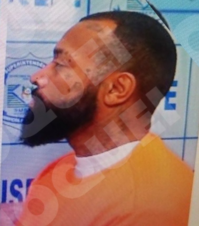 DIRETO DO MIOLO tweet media