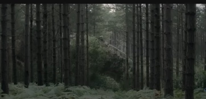 Lili_Varga's tweet photo. Did anyone else notice in #HoTD 2x4 that Cole is cutting down the trees, so Vhagar could hide? #HouseOfTheDragon https://t.co/zIkLSGNHPo