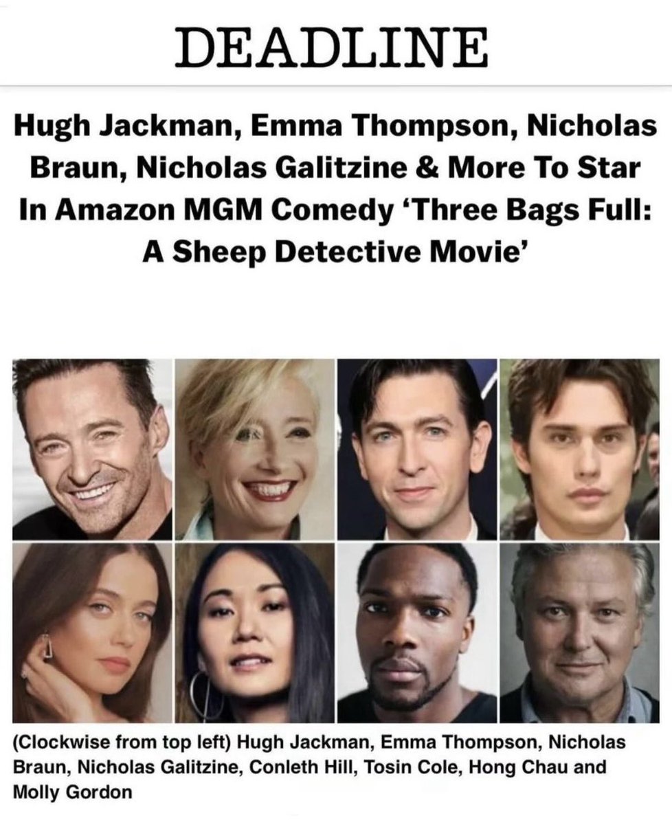 The Sheep Detectives Updates tweet media