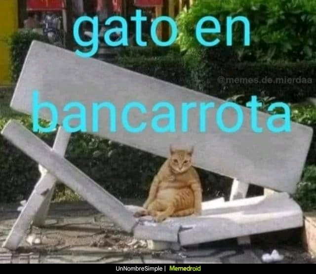 Mainrabipelao's tweet image. Yo en estos momentos