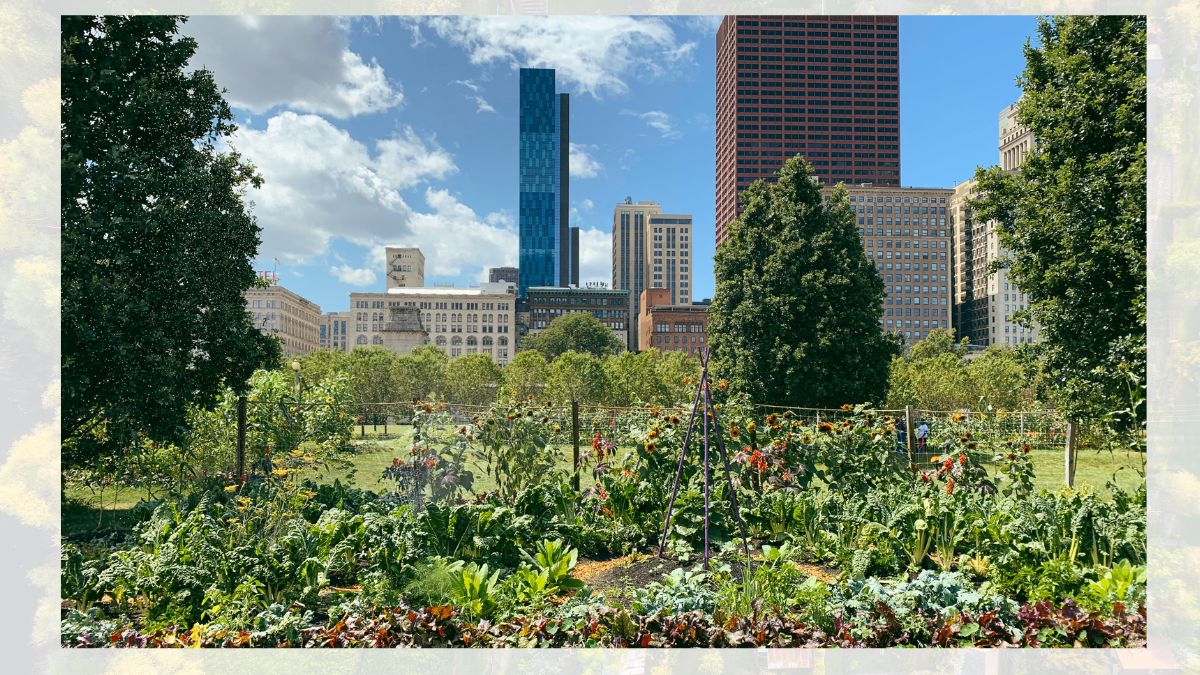 The Australia Today (@theaustoday) on Twitter photo Our cities’ secret gardens: we connect with nature in neglected green spaces just as much as in parks, explain @HughStanford1 and <a href="/HollyKirk/">Holly Kirk (@hollykirk .bluesky.social)</a>
Read here: theaustraliatoday.com.au/our-cities-sec…
<a href="/DrAmitSarwal/">Dr Amit Sarwal 🇮🇳 🇦🇺</a> <a href="/Pallavi_Aus/">Pallavi Jain</a> <a href="/rishi_suri/">Rishi Suri</a> <a href="/RMIT/">RMIT University</a> <a href="/JacintaAllanMP/">Jacinta Allan</a> @opdwivedi82 Our cities’ secret gardens: we connect with nature in neglected green spaces just as much as in parks, explain @HughStanford1 and <a href="/HollyKirk/">Holly Kirk (@hollykirk .bluesky.social)</a>
Read here: theaustraliatoday.com.au/our-cities-sec…
<a href="/DrAmitSarwal/">Dr Amit Sarwal 🇮🇳 🇦🇺</a> <a href="/Pallavi_Aus/">Pallavi Jain</a> <a href="/rishi_suri/">Rishi Suri</a> <a href="/RMIT/">RMIT University</a> <a href="/JacintaAllanMP/">Jacinta Allan</a> @opdwivedi82