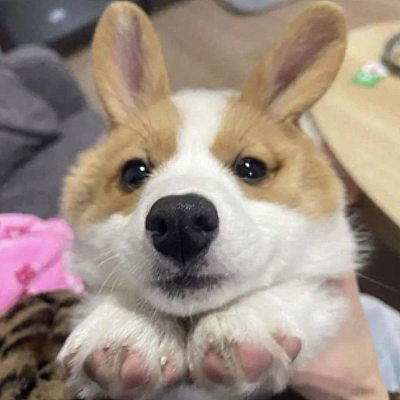 Crypster tweet media