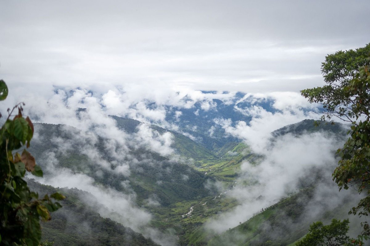 ¡Gran noticia para el país¡ Se inauguró el nuevo Parque Nacional Regional en el Carmen de Atrato, Chocó. Este es un paso crucial para proteger nuestra biodiversidad, ya que esta es una de las 57 áreas con mayor concentración de especies endémicas en Suramérica.

Adicionalmente,