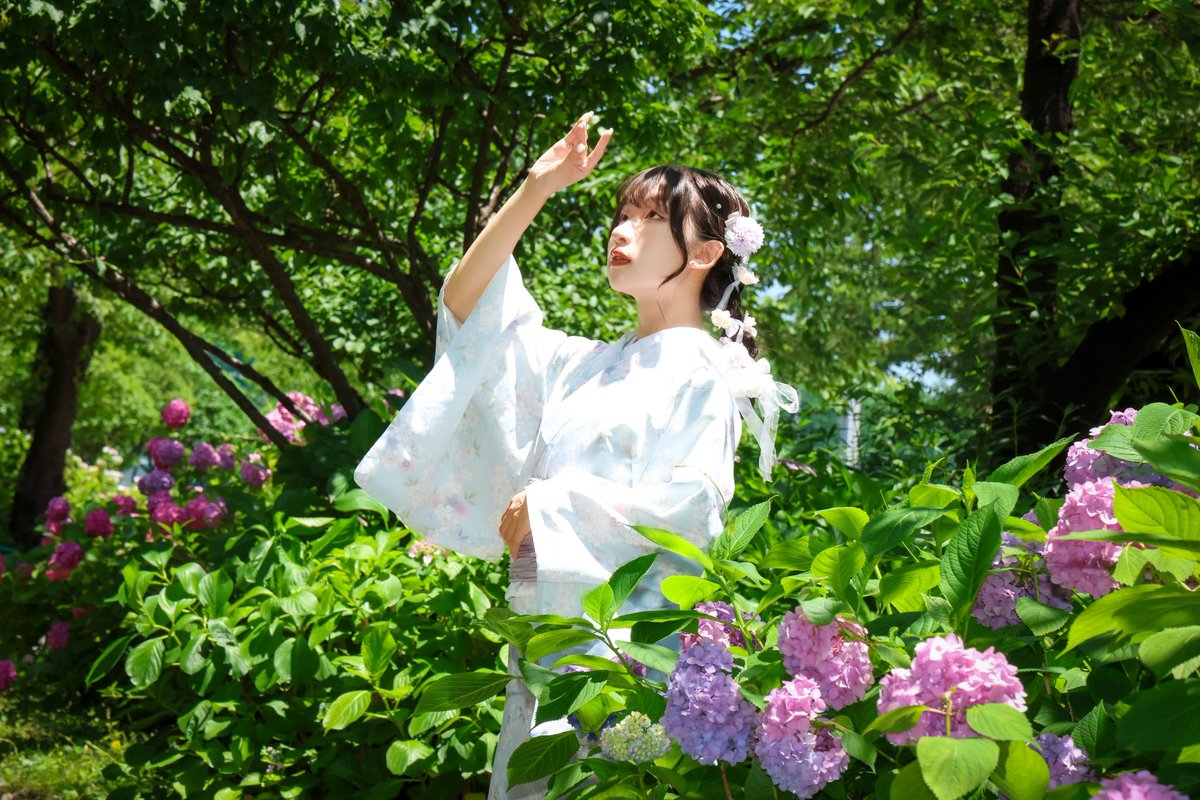 BR1203k's tweet photo. おはようございます😊
#Myui さん230 @Myui1023 
#着物と紫陽花 19  ✨️美しい✨️
#japanessegirl #girlsphoto #モデル撮影 #女の子の可愛い追及部隊 #写游会 #紫陽花 #隅田公園 #cool_portrait_ #Love_bestjapan #photo_jpn #portraitofjapan #daily_photp_jpn https://t.co/ZUPD1c2ZW3