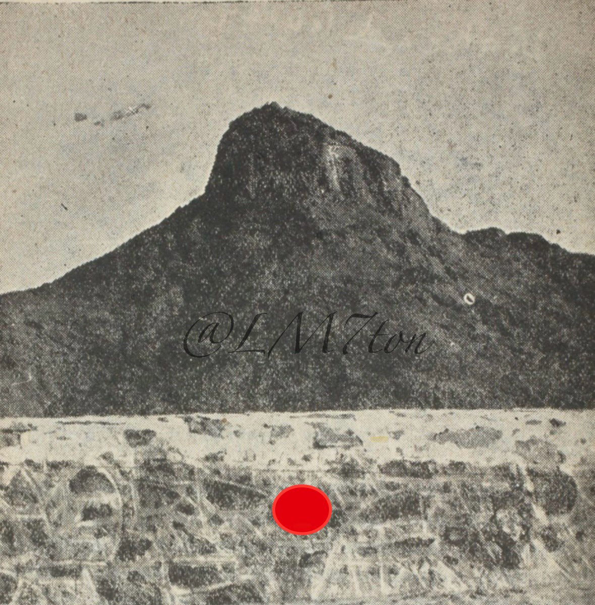 لمحة tweet media