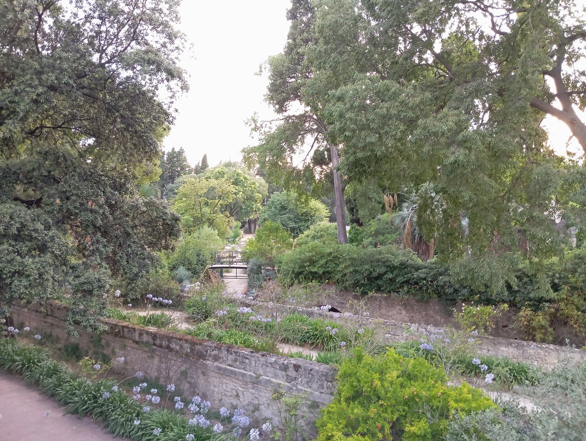 Peter Poczai tweet media