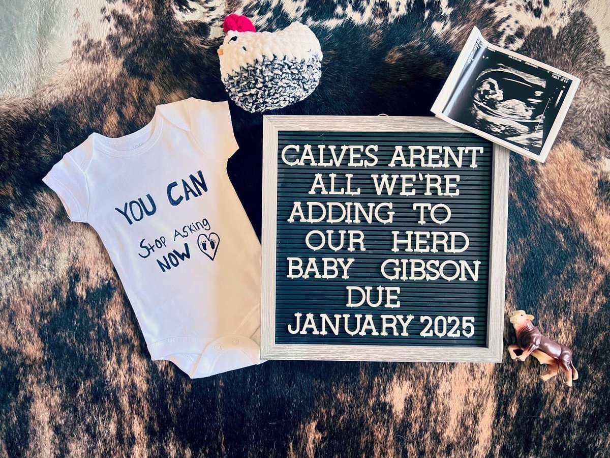 Exciting addition coming to the herd this January!! So excited for the future! 
#BrendaleAcres