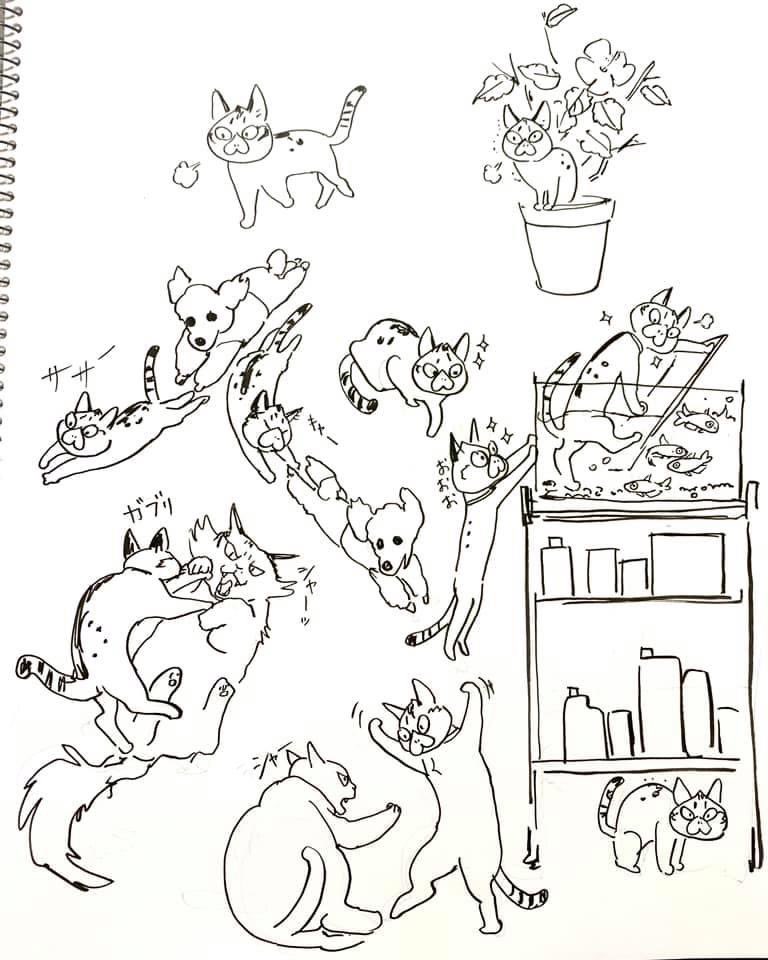 これはバブという猫を迎えた頃の漫画 