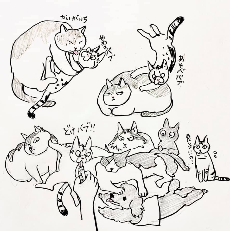 これはバブという猫を迎えた頃の漫画 
