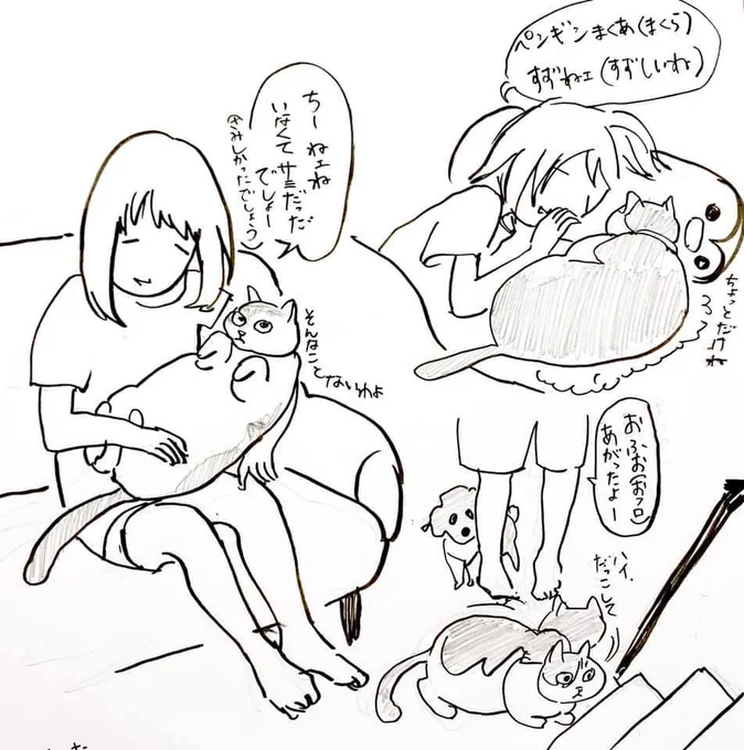 いまとなっては、コジロー🐩と猫王ももたは虹組。
バブは唯一の友達であったコジローを早くに亡くしてしまっていまはずっとデカい声で鳴いてる 