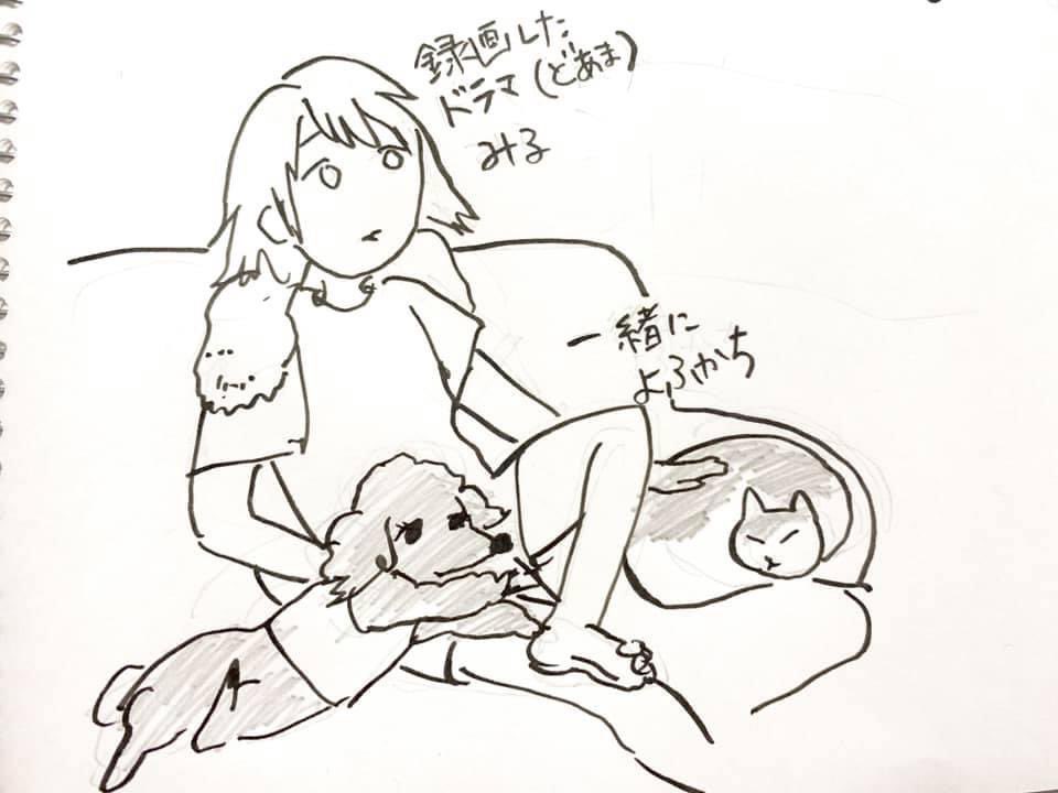 いまとなっては、コジロー🐩と猫王ももたは虹組。
バブは唯一の友達であったコジローを早くに亡くしてしまっていまはずっとデカい声で鳴いてる 