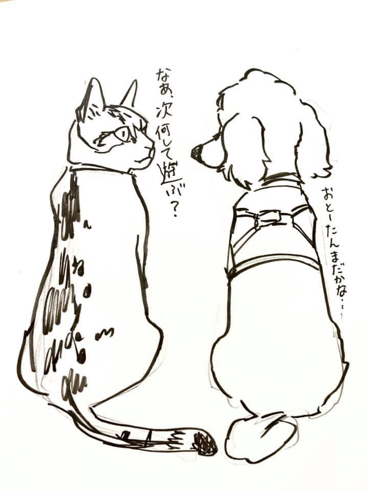いまとなっては、コジロー🐩と猫王ももたは虹組。
バブは唯一の友達であったコジローを早くに亡くしてしまっていまはずっとデカい声で鳴いてる 