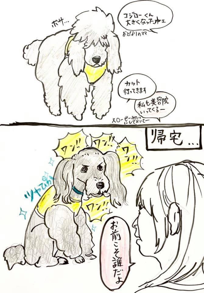 いまとなっては、コジロー🐩と猫王ももたは虹組。
バブは唯一の友達であったコジローを早くに亡くしてしまっていまはずっとデカい声で鳴いてる 