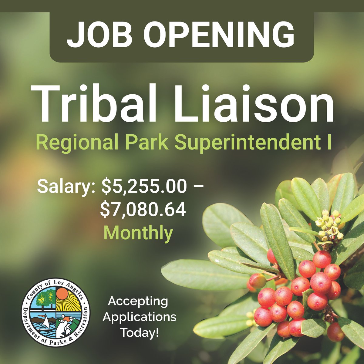 lacountyparks's tweet photo. The Los Angeles County Department of Parks and Recreation is seeking to hire the County’s first Tribal Liaison!

To learn more and apply: https://t.co/iB9ZcGHK8H https://t.co/5m81IIRtdi