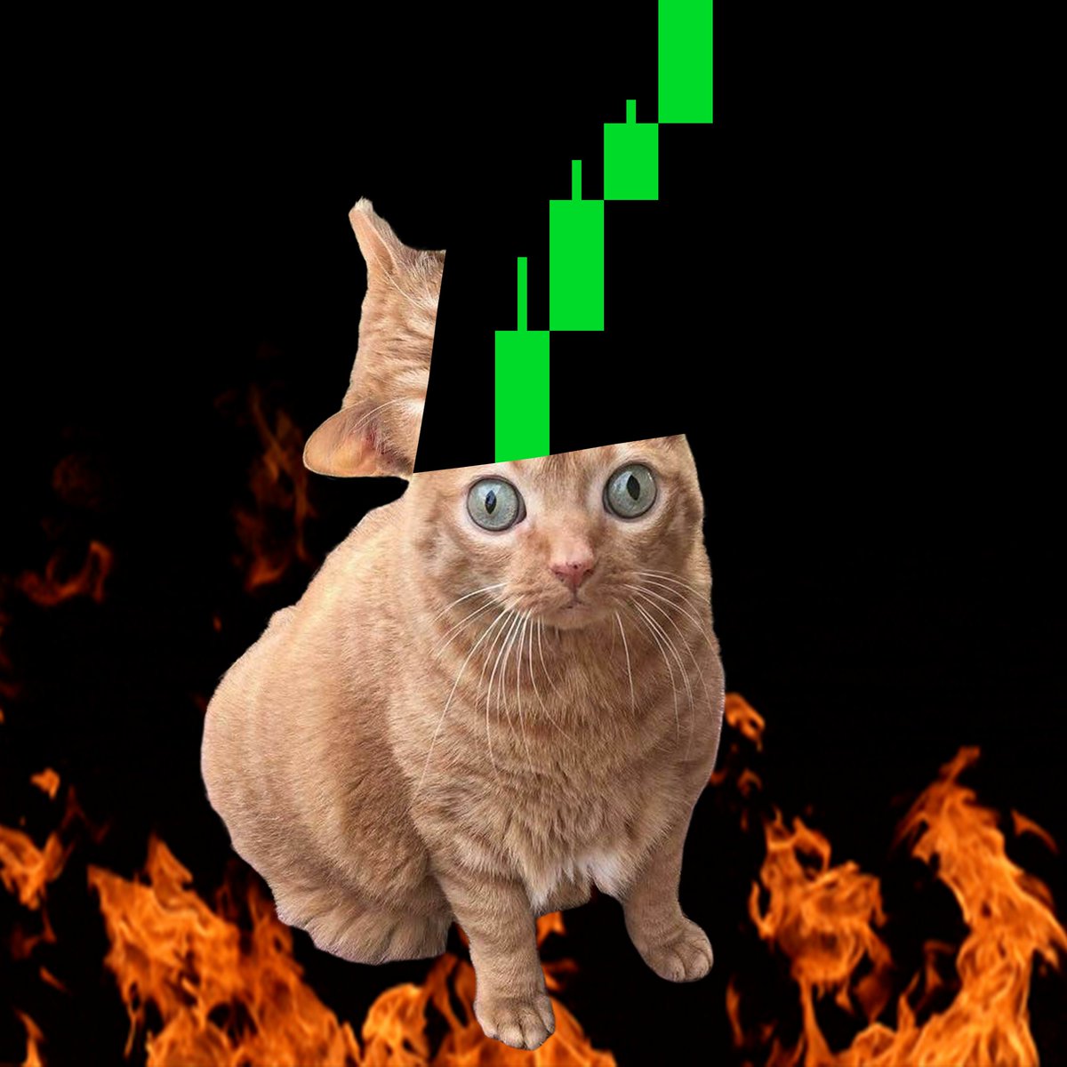 TweakinOnSol's tweet photo. wait chart goin up ? hell nah you tweakin https://t.co/TyzLrduKMI