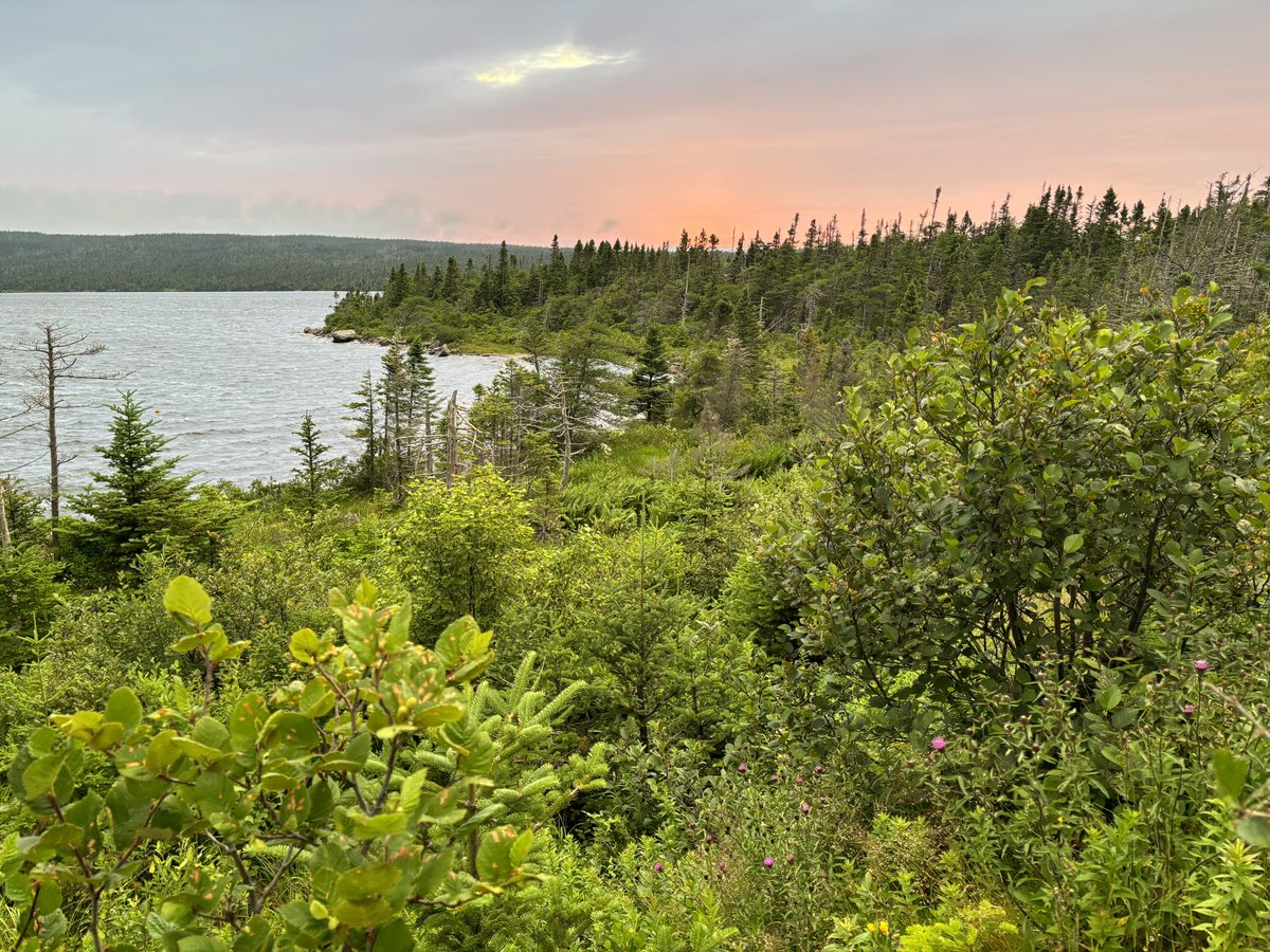 dawn_kimmy_nl's tweet photo. Nice scenery at La Manche!
#NLCamping https://t.co/rGKHILluKC