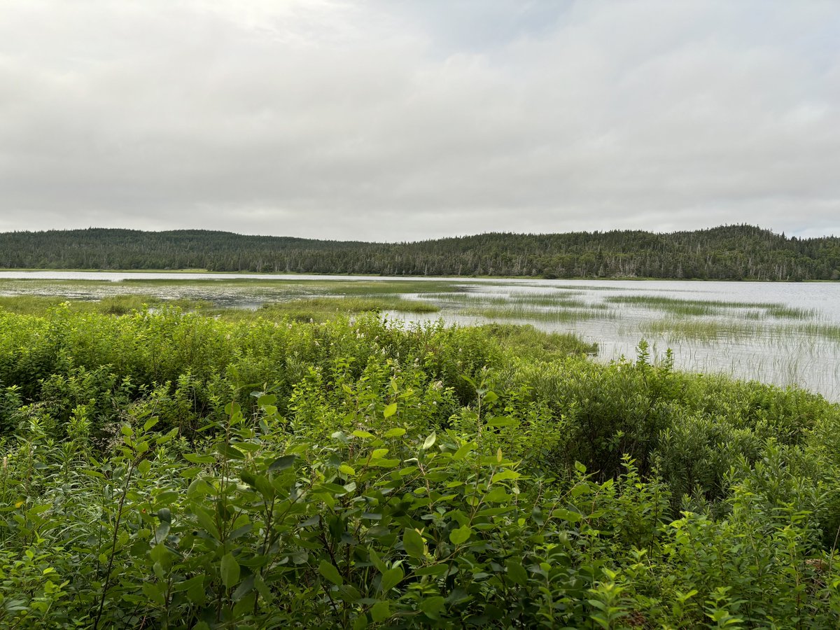 dawn_kimmy_nl's tweet photo. Nice scenery at La Manche!
#NLCamping https://t.co/rGKHILluKC
