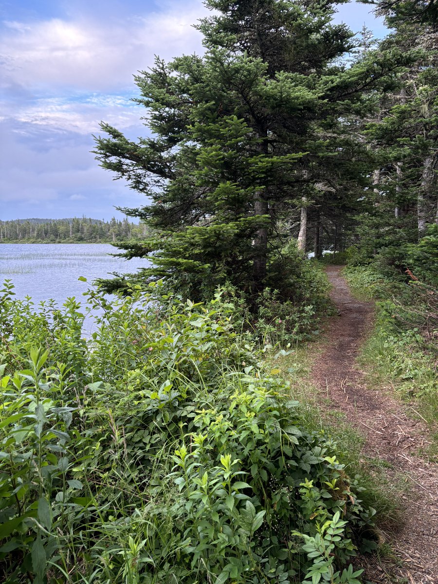 dawn_kimmy_nl's tweet photo. Nice scenery at La Manche!
#NLCamping https://t.co/rGKHILluKC