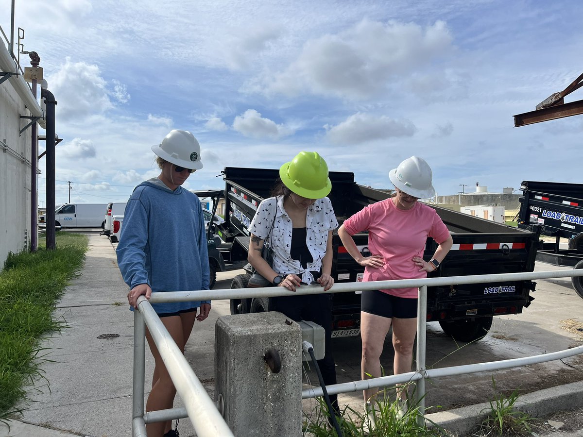 Nielsen Lab tweet media