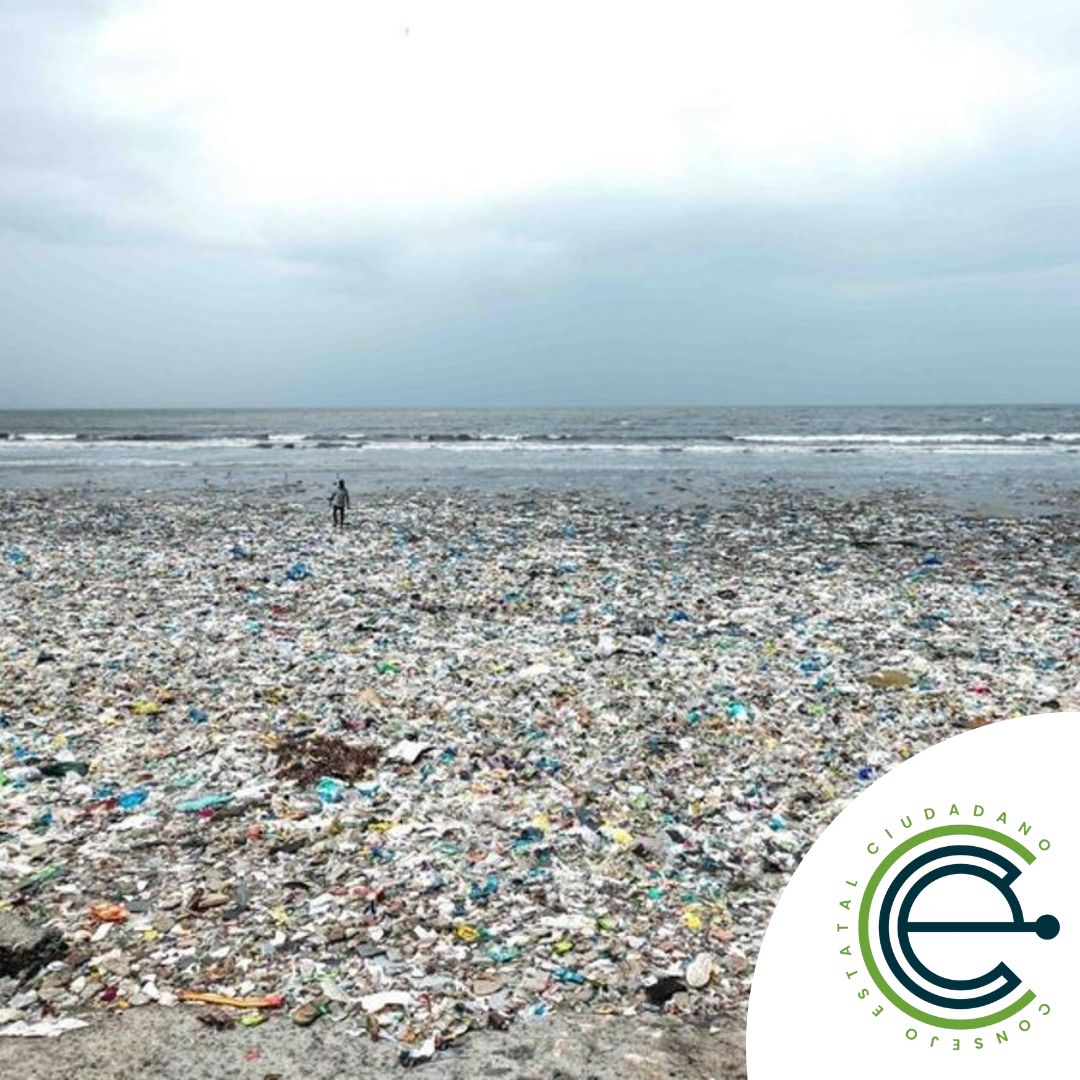 ¡Unidos por el agua! 📷
El acceso al agua potable es un derecho humano. Al cuidar y proteger nuestras fuentes de agua, estamos asegurando que todos, en todas partes, tengan acceso a este recurso vital. 📷📷