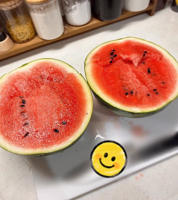 収穫した 大きさはSサイズかなー? 朝収穫してすぐ切った╭( ・ㅂ・)و 味も良し