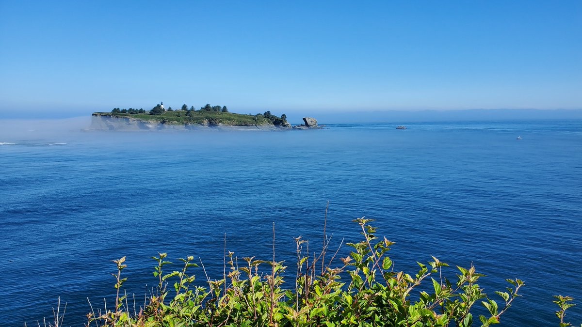 ZondaNature's tweet photo. Tatoosh Island at Cape Flattery https://t.co/OcvzL9BXre