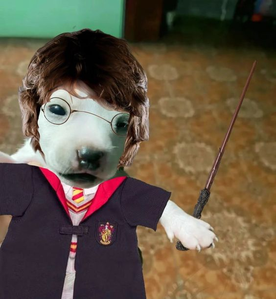 monchi tweet media