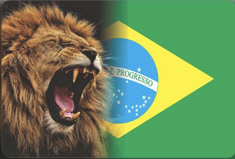 andreia macedo tweet media