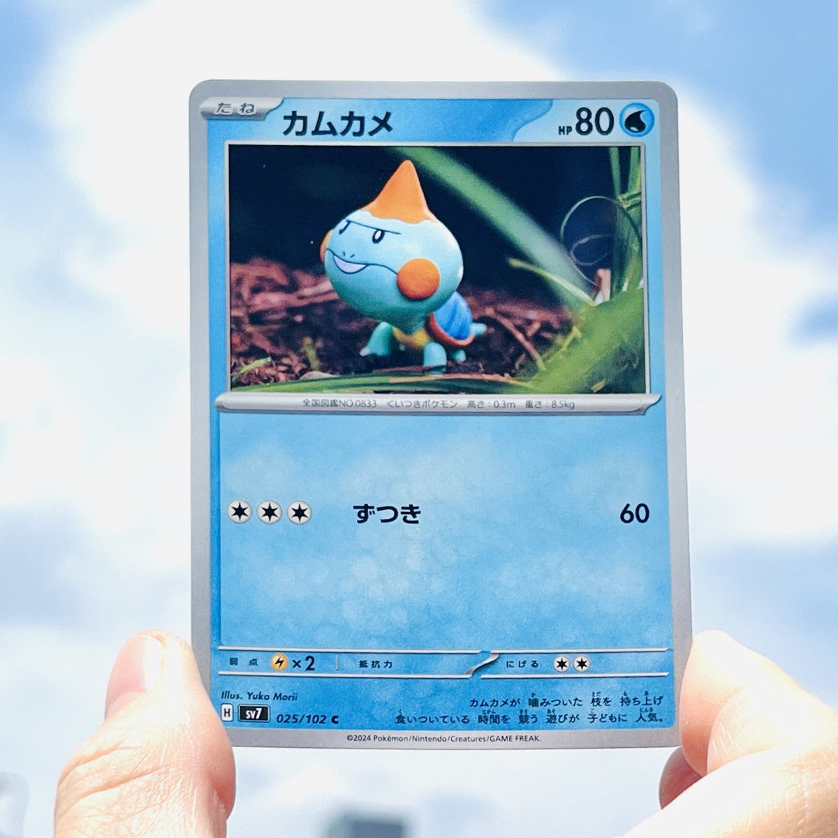 My new Pokmon cards "Chewtle" has gone out!! This model is handmade by clay. They have a strong bite! #pokemoncards #clayart #Chewtle My new Pokmon cards "Chewtle" has gone out!! This model is handmade by clay. They have a strong bite! #pokemoncards #clayart #Chewtle