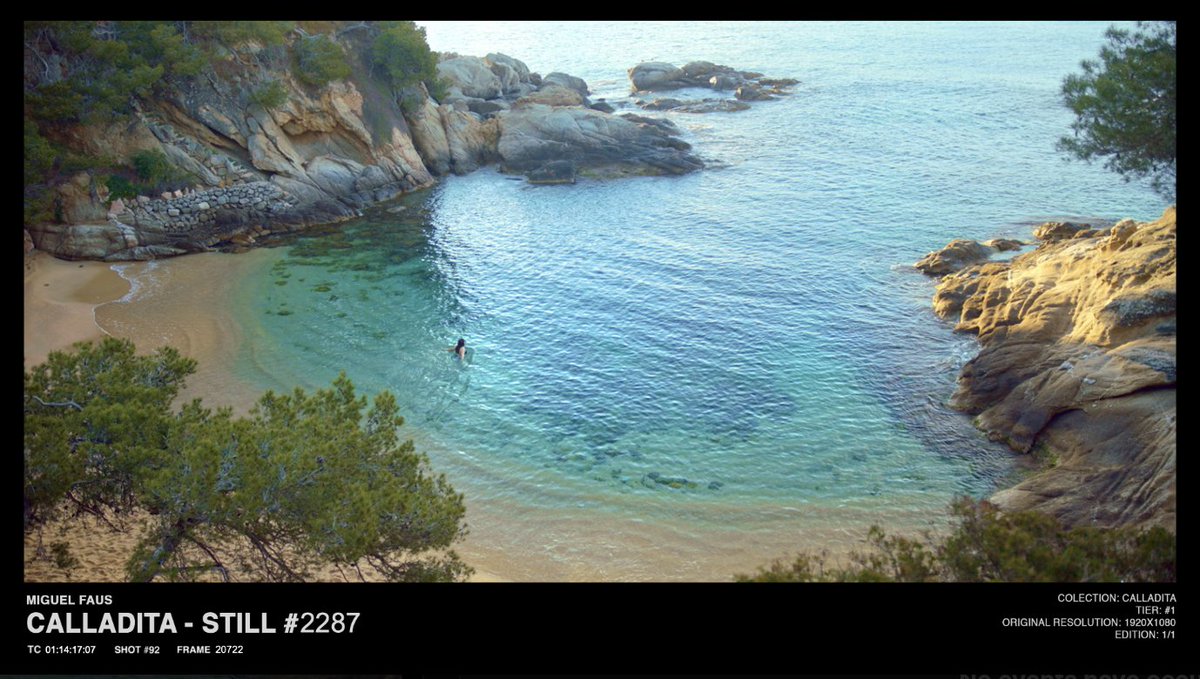 karmataco tweet media