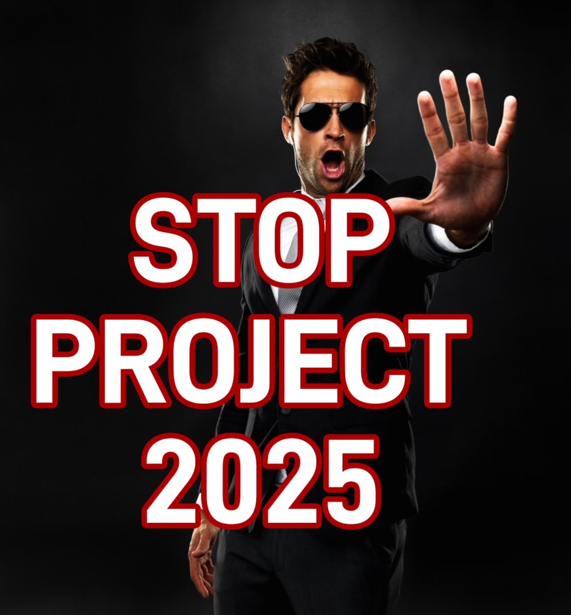 PrincessBravato's tweet image. #StopProject2025 
#GoogleProject2025
