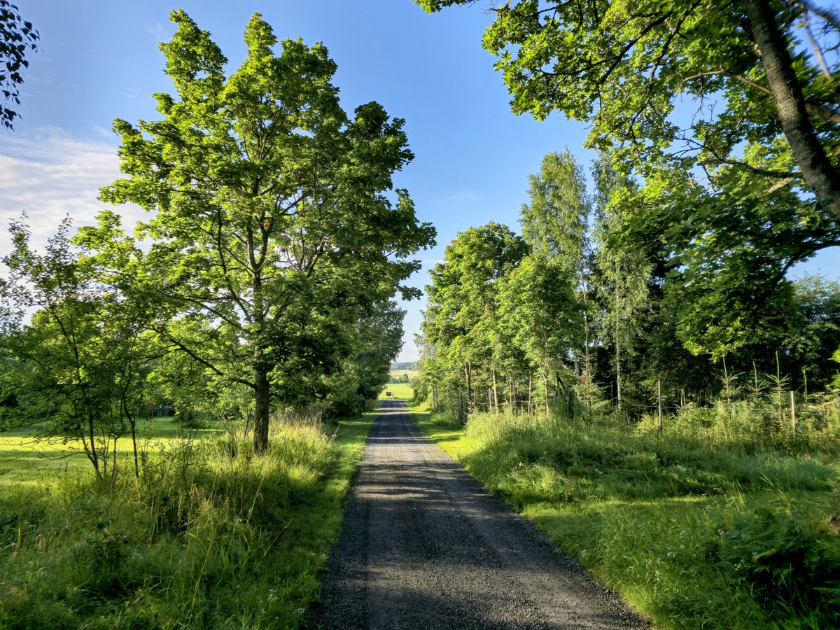Zehov's tweet photo. Good Saturday. https://t.co/jHtSkiRjEZ