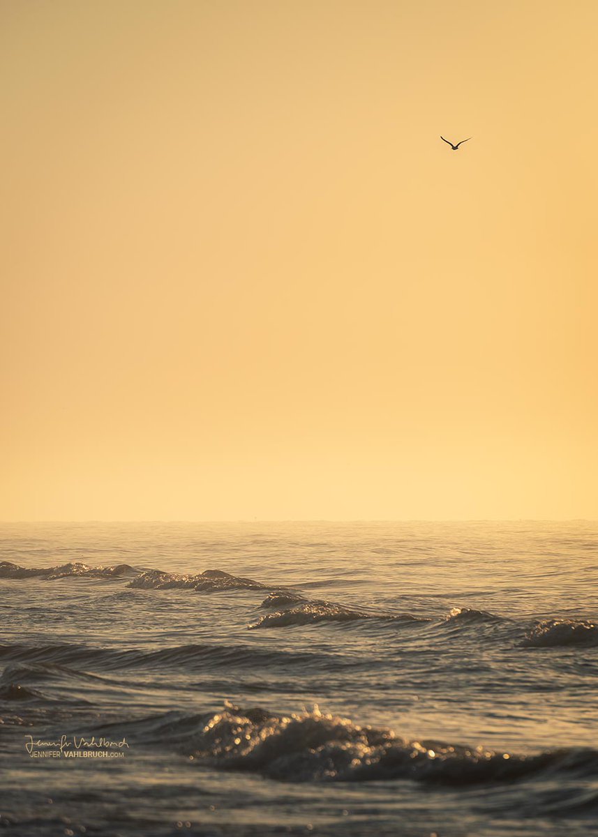 “Stay away from those people who try to disparage your ambitions. Small minds will always do that, but great minds will give you a feeling that you can become great too.” - Mark Twain