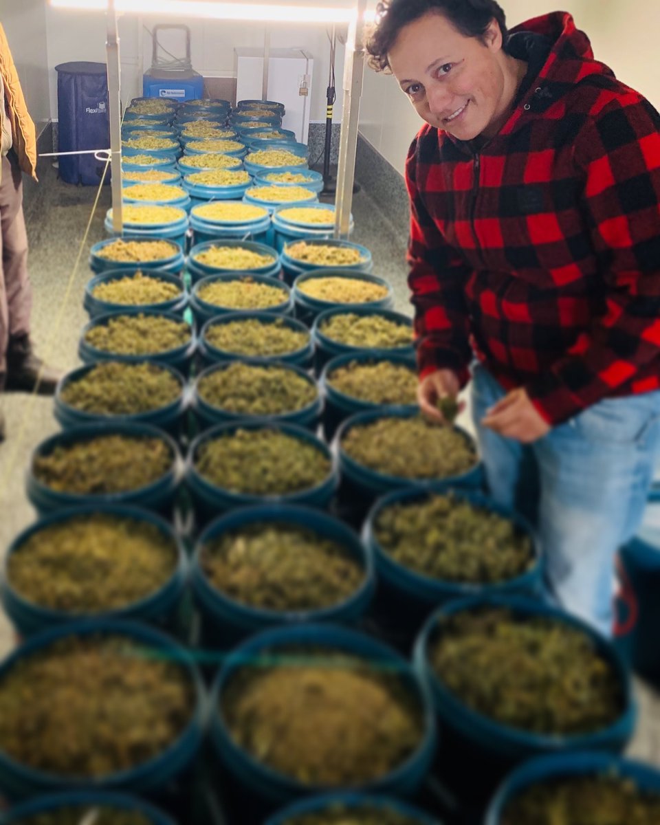 Kiwis Can Fly 🇳🇿 tweet media