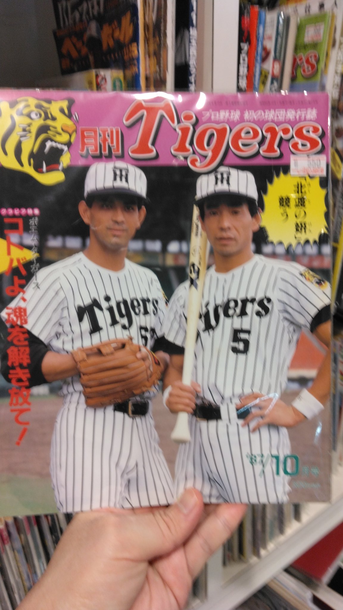 昭和プロ野球SSK DIMPLE POWER GLOVE 阪神江本孟紀 27 【江本孟紀】BBM2015 阪神タイガース80周年 レギュラー [球団