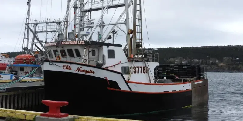 VOCM News tweet media