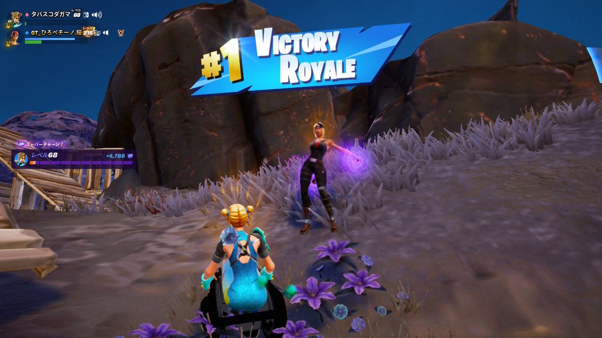 rose_tabasco's tweet image. 昨日はひろさん✨初対面はガチガチやったけど、3度目ともなるともうラフに話せるように😚全てのボケに反応してくれる心優しき青年やけどバブだけは毎回否定される🤔他にも黄猿のモノマネをしたりなどふざけ倒しながらもキャリーしてくれて最後ビクロイで〆✌️また遊ぼー！🥀
#DVB
#ゲーミングベビーカー