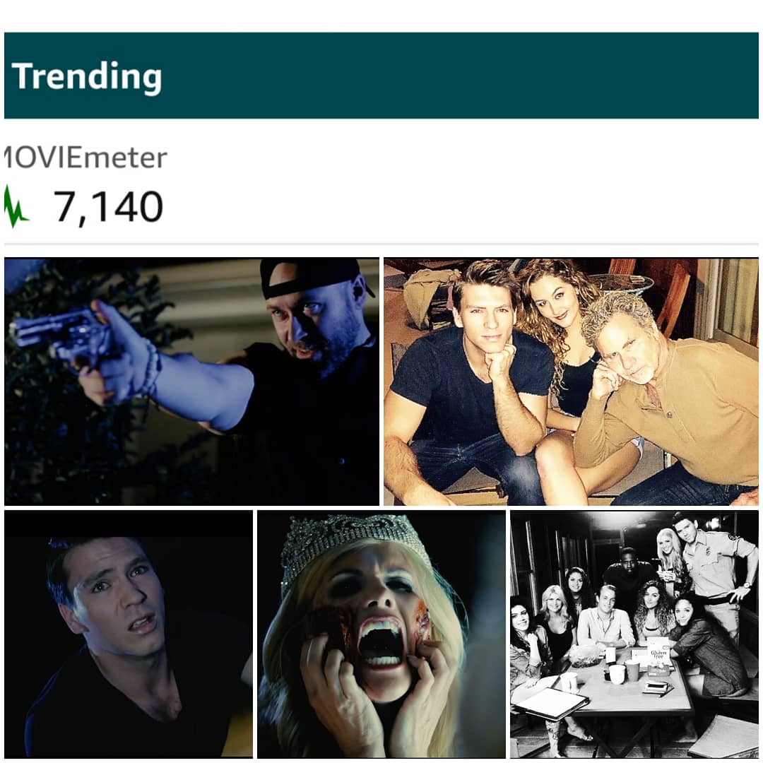 AmericanVintage tweet media