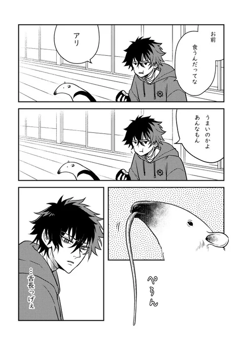 お好きな方はご存知と思いますが、アリクイが長い舌を出すのは「あくび」です。いつでも見られる訳ではないので、ぺろんと出た瞬間に立ち会えたらラッキー👅✨