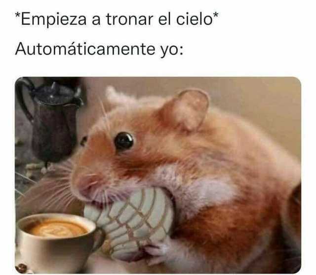 lacelespodcast's tweet photo. Otro viernesito lluvioso 😌... ¿Cuál es el plan para hoy? 😏

@gmorareyna @cenartmx @marianateyer @MooreVanely @olmosdeita @burbush2s 

#lacelestinapodcast
#30añosdelcenart https://t.co/WnLJAEiNE7