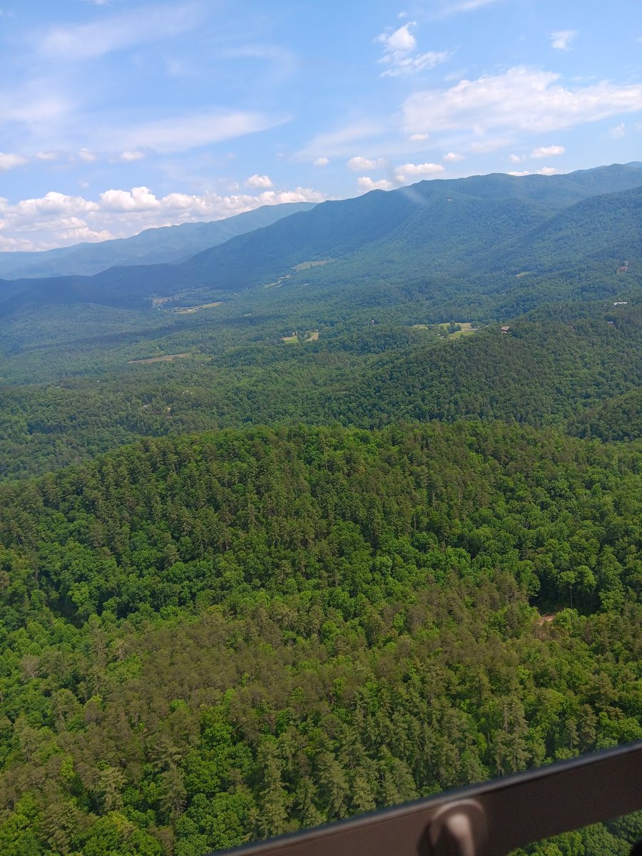 Mark Gibbons tweet media