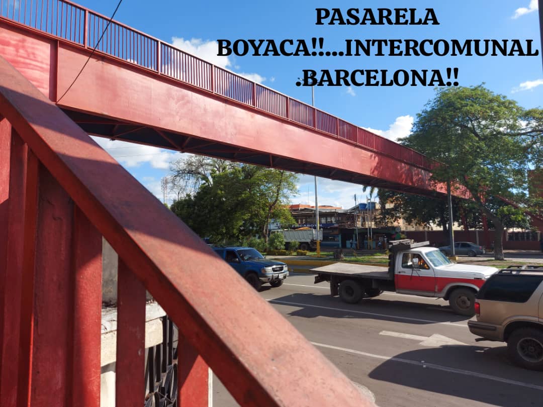 RAUL BRAVO tweet media